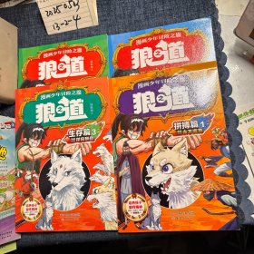 狼道漫画版 全4册
