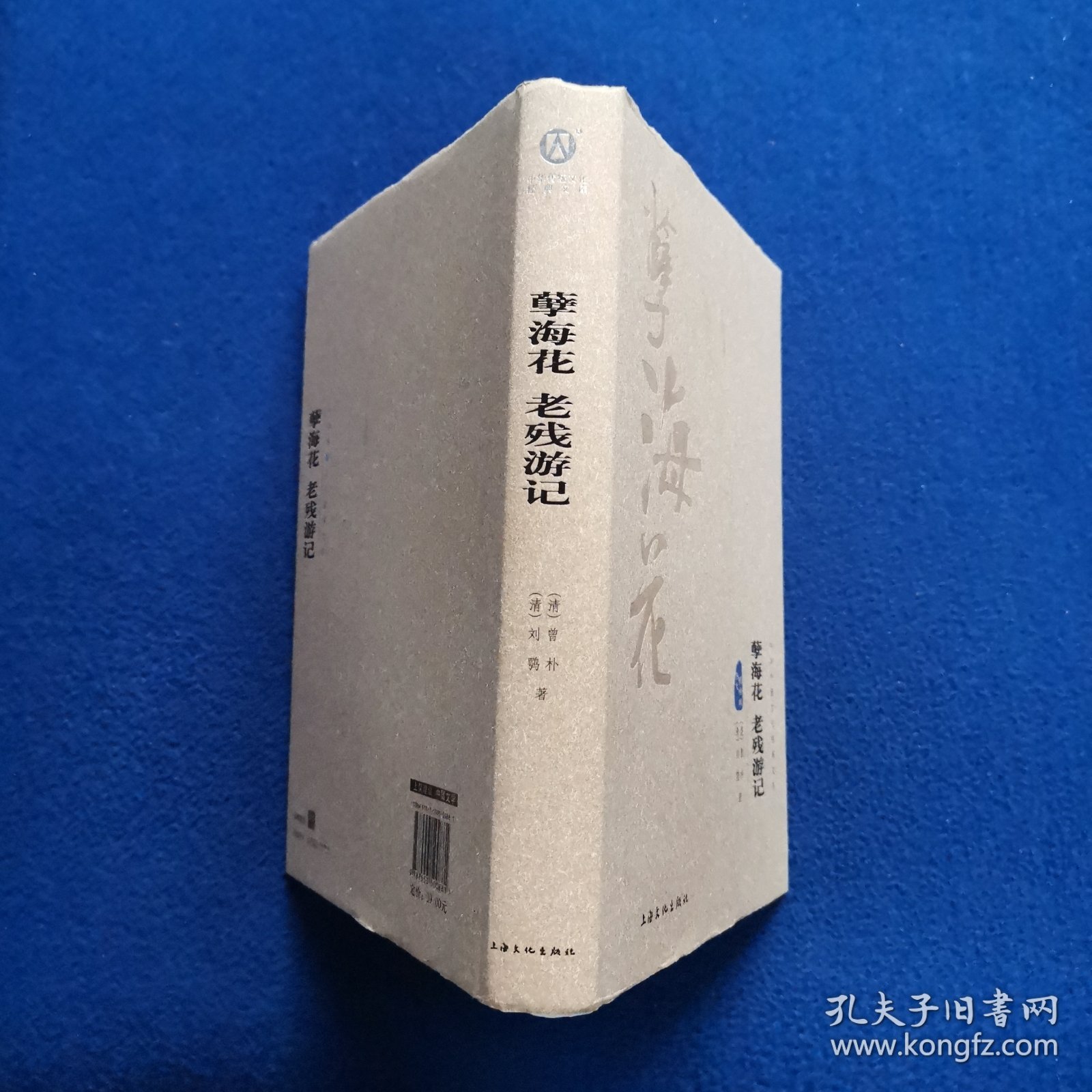孽海花 老残游记