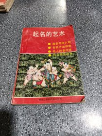 起名的艺术