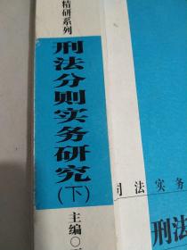 刑法分则实务研究（只有下册）