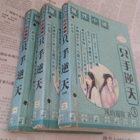 只手道天1～3册完