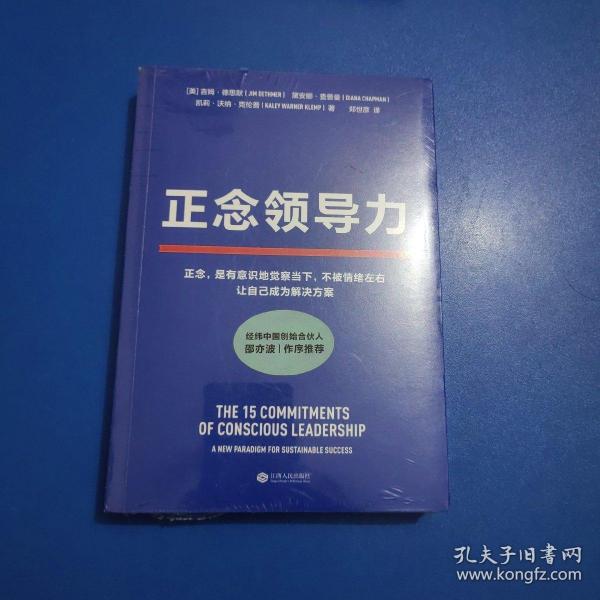 正念领导力（经纬中国创始合伙人邵亦波作序！一本从心出发的领导力之书！）