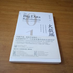 大数据：正在到来的数据革命，以及它如何改变政府、商业与我们的生活