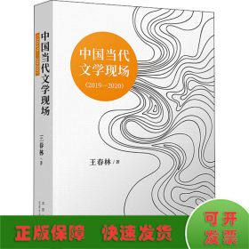 中國(guó)當(dāng)代文學(xué)現(xiàn)場(chǎng)(2019-2020)