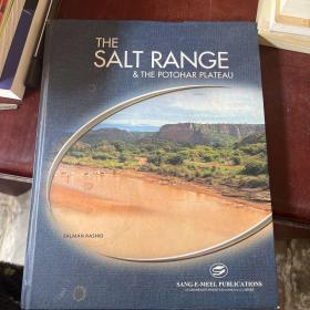 THE SALT RANGE