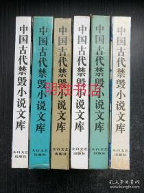 中国古代禁毁小说文库：八段锦.国色天香+情梦柝.金石缘.双凤奇缘+五凤吟.八洞天.五色石.鸳鸯影.绣球缘.五美缘+粉妆楼.锦香亭+十二楼.无声戏（6本合售 精装本）