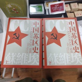 中国苏区史
江西人民出版社