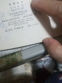 在森林中黄永玉编写画】