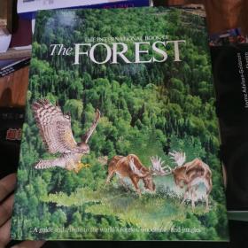 the forest q19