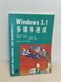 多媒体速成Windows3.1