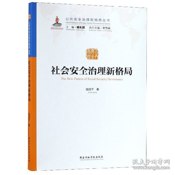 社会安全治理新格局/公共安全治理新格局丛书