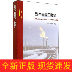 燃气输配工程学
