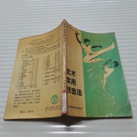 武术实用技击法