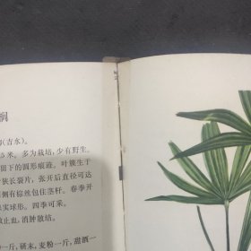 江西草药 彩图版  32开