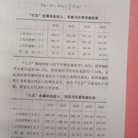 中国农户消费与积累