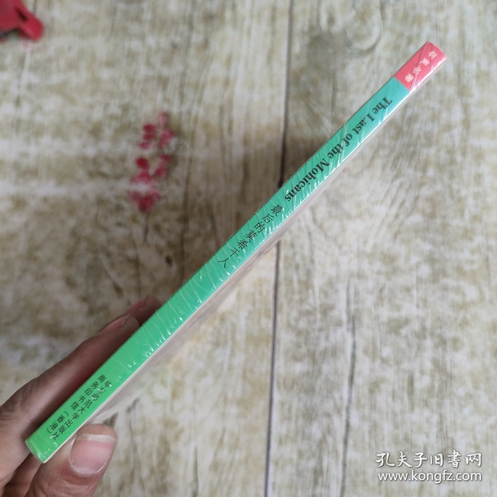 Black Cat 有声名著阶梯阅读（第5级）：最后的莫希干人