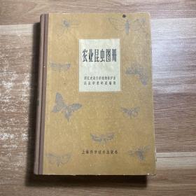 农业昆虫图册