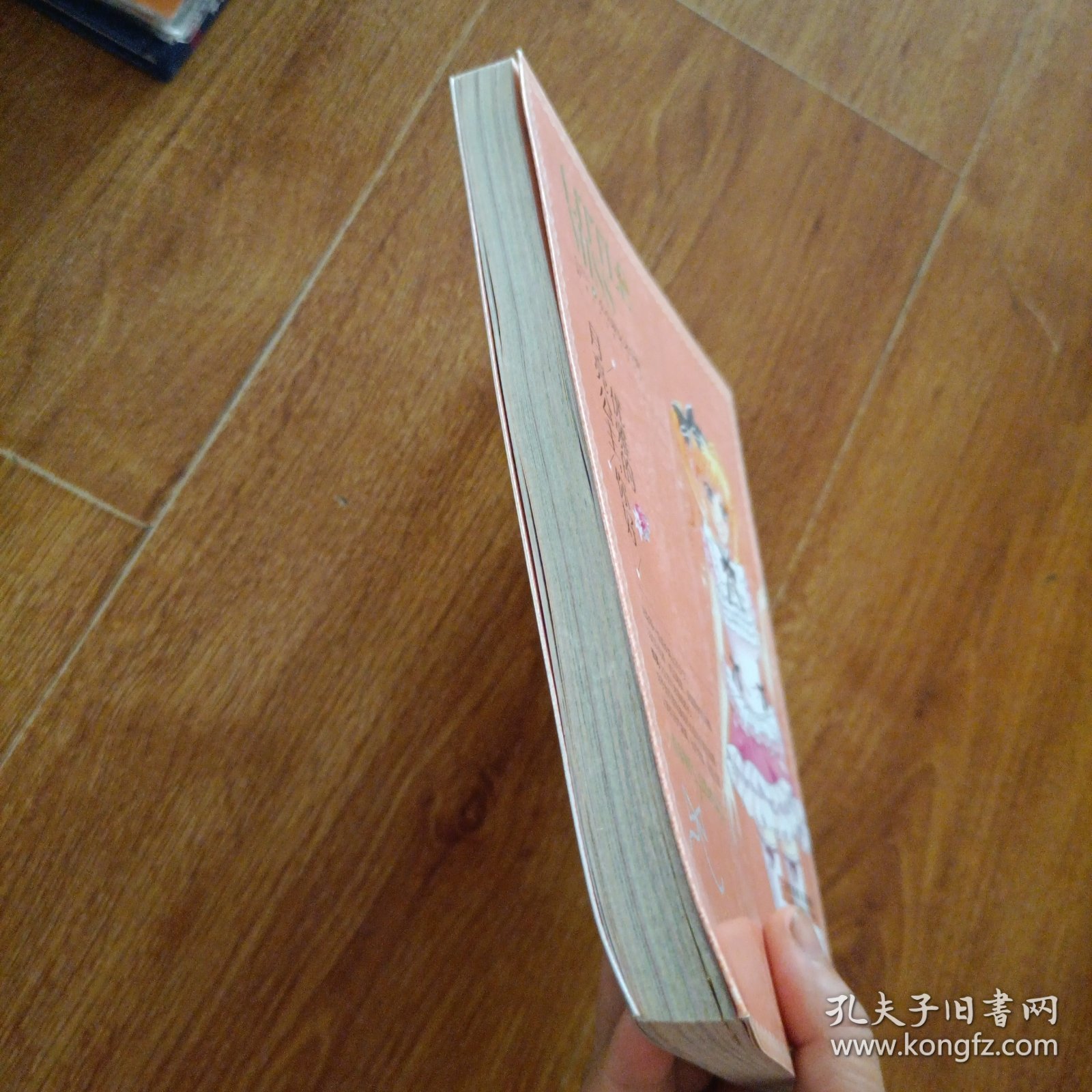 优雅的月亮公主，你好