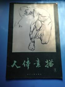 人体素描 第一集