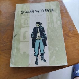 少年维特的烦恼