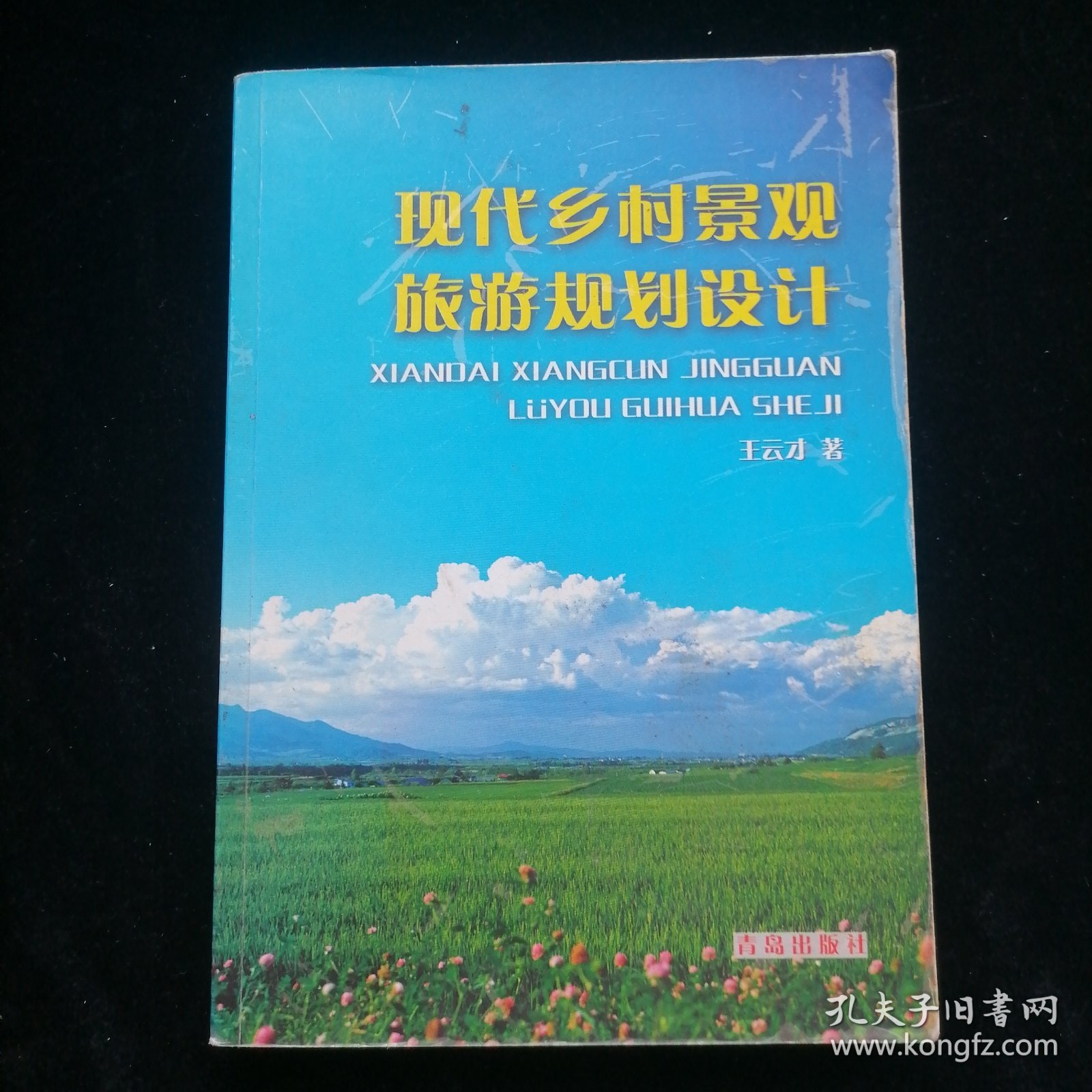 现代乡村景观旅游规划设计