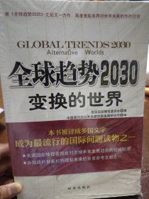 全球趋势2030：变换的世界