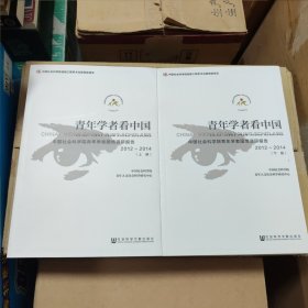 青年学者看中国（全两册）