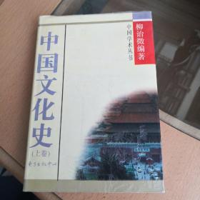 中国文化史(上卷)