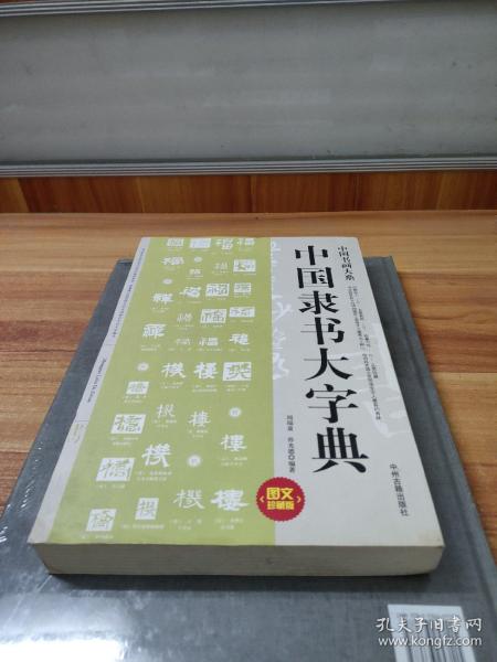 中国书画大系：中国隶书大字典