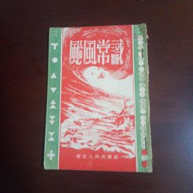 台风常识