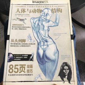 全球数位绘画名家技法丛书：人体与动物结构