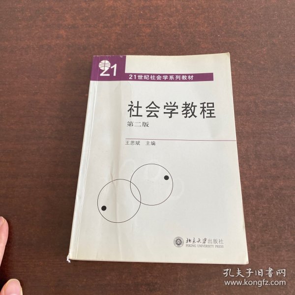 21世纪社会学系列教材：社会学教程（第二版）