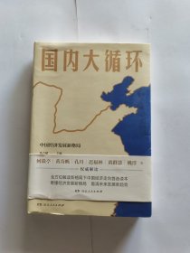 国内大循环(何毅亭、黄奇帆、孔丹、迟福林、姚洋、黄群慧等撰文)