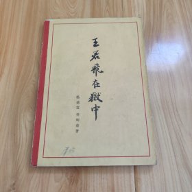 王若飛在中