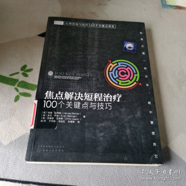 心理咨询与治疗100个关键点译丛：焦点解决短程治疗（100个关键点与技巧）