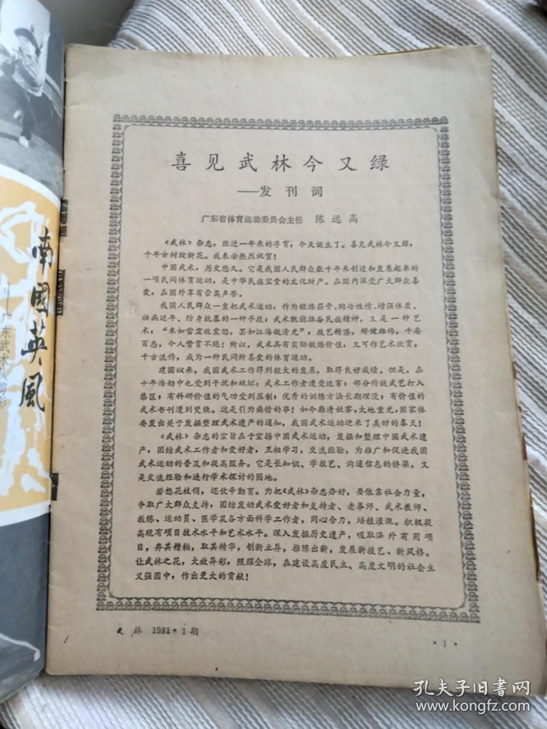 创刊号武林