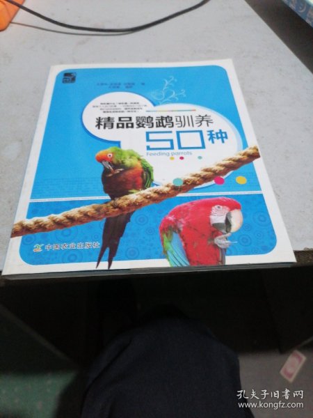 精品鹦鹉驯养50种