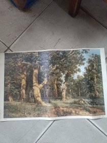 柞木林编号90印刷品53/33
