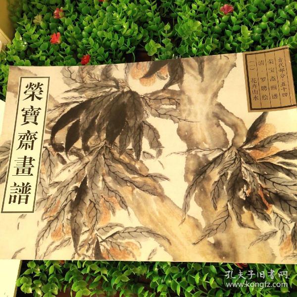 荣宝斋画谱古代部分（54）清·花卉山水