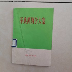 举旗抓纲学大寨