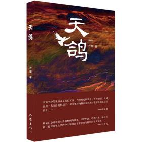 天鸽 中国现当代文学 杜斌