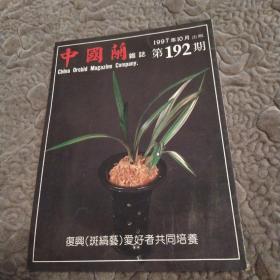 《中国兰》杂志1997年10月号 总第192期【8品16开80页著名的兰花杂志】52497