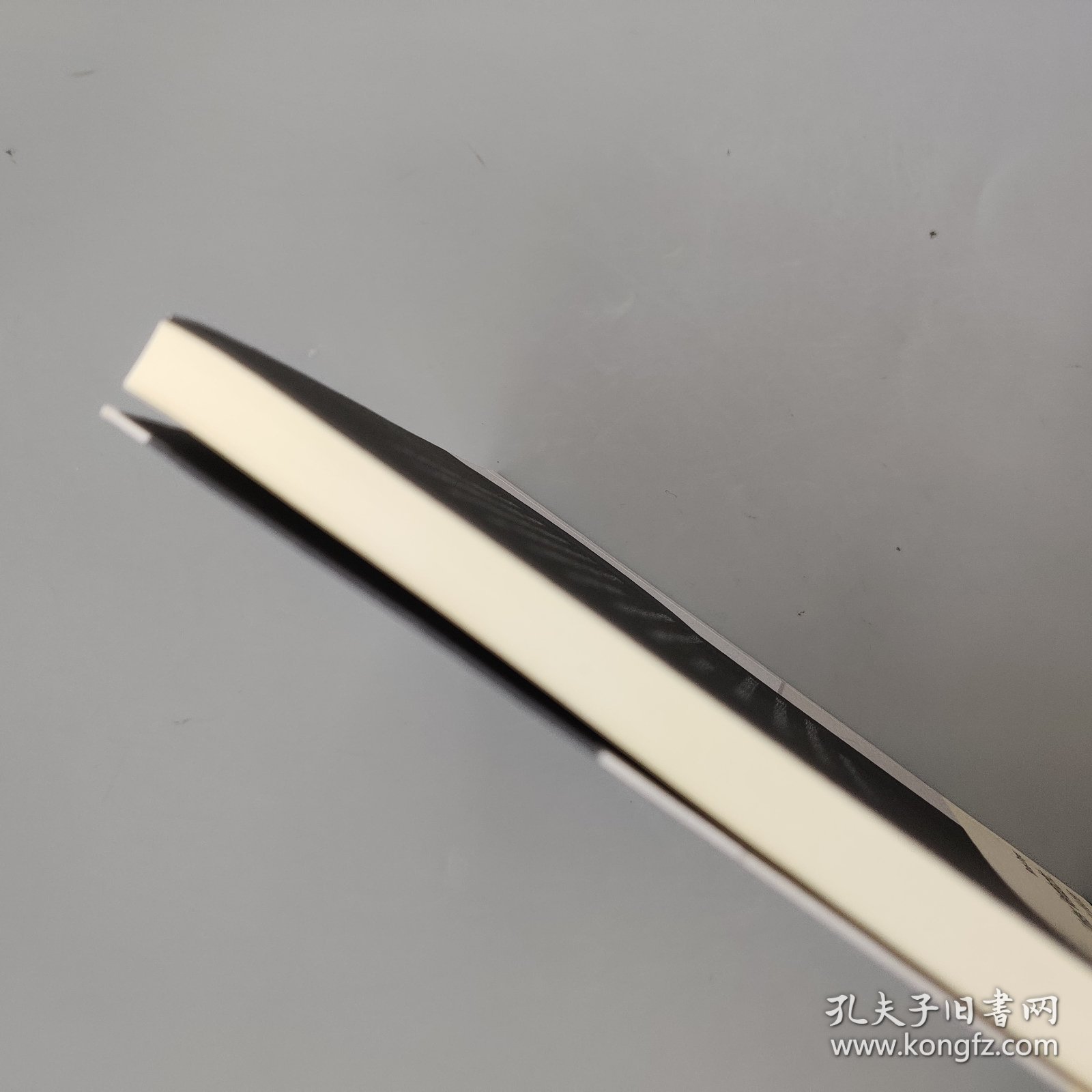 揣测与媒介：媒介体现象学