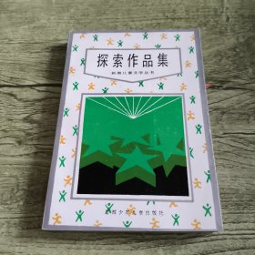 新潮儿童文学丛书：探索作品集