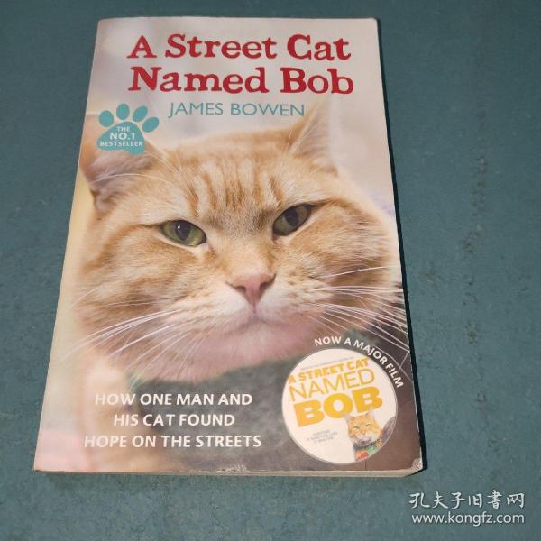 A Street Cat Named Bob：How one man and his cat found hope on the streets