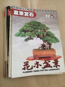 盆景赏石2006年2～12期缺第1期11本合拍／花木盆景B饭