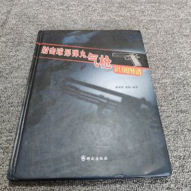 射擊球形彈丸氣槍識(shí)別圖譜