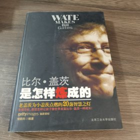 比尔·盖茨是怎样炼成的