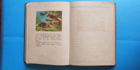 解放初日记本 《光荣日记》很多很多杭州.黄山.长江图（35公斤道林纸）【联业印制厂】【稀缺品】