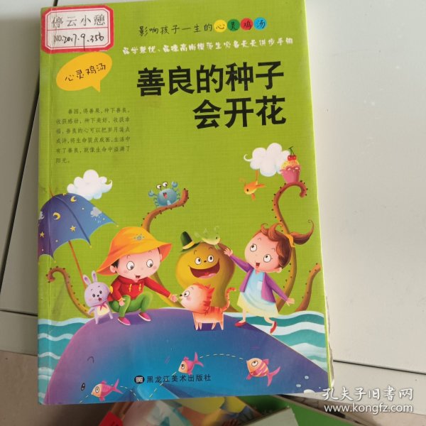 善良的种子会开花